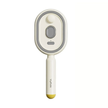 Mist Spray Hair Comb